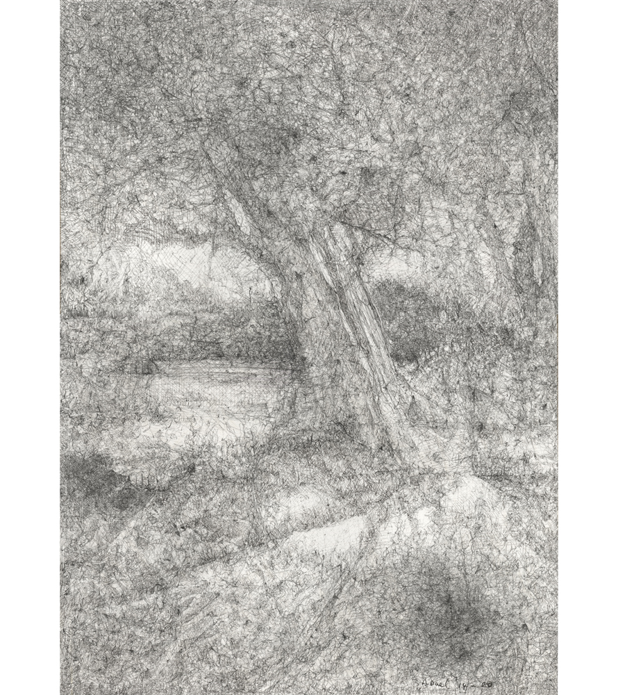L'arbre de la plénitude